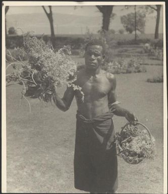 Aiau, the Chinnery's garden boy with flowers presented to Lady Gowrie, Malaguna Road, Rabaul, New Guinea, 1937 / Sarah Chinnery