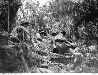DAGUA, NEW GUINEA. 1945-03-27. A FORWARD SECTION OF A COMPANY, 2/2 INFANTRY BATTALION PINNED DOWN ON A RIDGE BY A JAPANESE SNIPER WAITING WHILE BREN GUNNERS TRY TO BLAST HIM OUT OF HIS TREE. ..