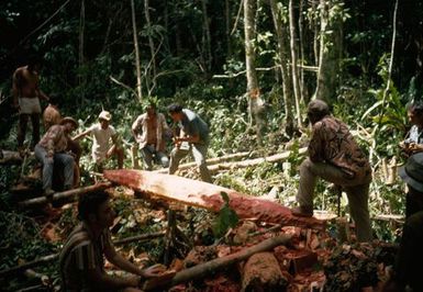 Canoe Making in Niue