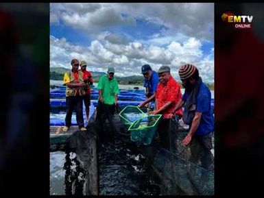 SIRINUMU TALAPIA PROGRAM