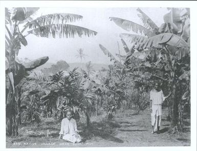 Native village near Suva, Fiji