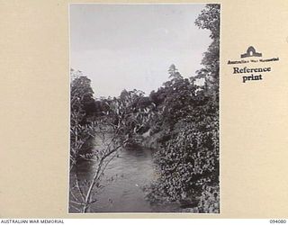 DOBODURA, NEW GUINEA, 1945-06-25. THE VIEW UP RIVER FROM A SUSPENSION BRIDGE ERECTED BY AUSTRALIAN TROOPS IN THE DOBODURA AREA