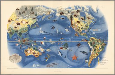 Plate II. The Fauna and Flora of the Pacific. Pageant of the Pacific.