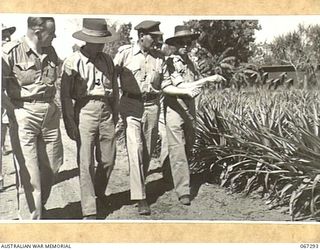 Members of the Empire Parliamentary Delegation inspecting pineapples on the farm of the 1st Farm Company in the Northern Territory.  Identified left to right: Mr H W Butcher (1); The Earl of ..