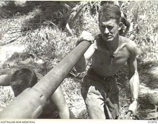 1942-12-05. PAPUA. SERGEANT CHURCH OF NEW SOUTH WALES INSPECTS A TANK GUN BEFORE GOING INTO ACTION. (NEGATIVE BY G. SILK.)