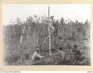 ULUPU, NEW GUINEA, 1945-07-09. TROOPS FROM D COMPANY, 2/5 INFANTRY BATTALION LOOKING AT THE DEVASTATION CAUSED BY ALLIED BOMBING AND STRAFING. 18 PLATOON TOOK THE RIDGE IN THE BACKGROUND AND GAVE ..