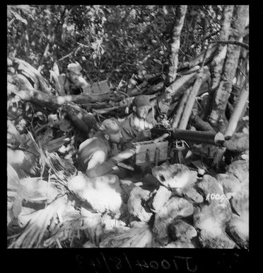 Soldiers and guns in the jungle at Maquana Bay, Vella Lavella, Solomon Islands, during World War II