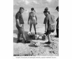 Research team examining clams picked up in reef area at Namu Island, 1947