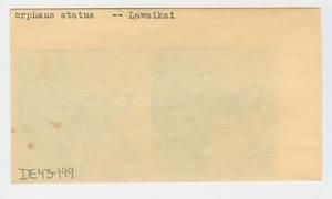 [Orpheus statue in Hawaii, envelope IE43-199]