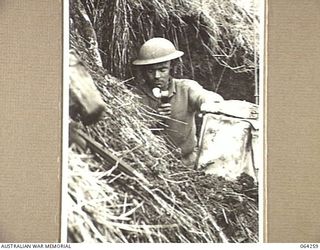 FINISTERRE RANGES, NEW GUINEA. 1944-01-23. QX34563 SIGNALMAN E.F. WESLING OF THE 2/9TH INFANTRY BATTALION OPERATING A 108 WIRELESS SET DURING THE BATTLE FOR SHAGGY RIDGE