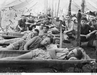 WARD 9 AT THE MAIN DRESSING STATION OF THE 2/6TH AUSTRALIAN FIELD AMBULANCE IN THE RAMU VALLEY. SHOWN ARE: SX3587 PRIVATE (PTE) COLIN RUSSELL BYWATERS (1); SX13380 PTE A. G. PELHAM (2); VX14369 ..