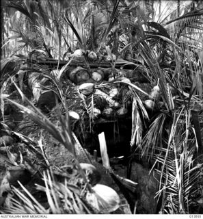 BUNA AREA, PAPUA, 1942-12-28. A JAPANESE MACHINE GUN NEST IN THE BUNA AREA. THIS CAMOUFLAGED MACHINE GUN NEST HAS BEEN BADLY DAMAGED BY SHELLFIRE FROM A TANK. (PHOTOGRAPHER: G. SILK)