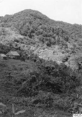 village, house, mountain slope, greenery, mountains, photography, ph