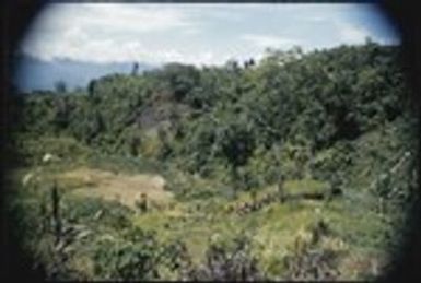 Tabibuga, garden at government patrol post