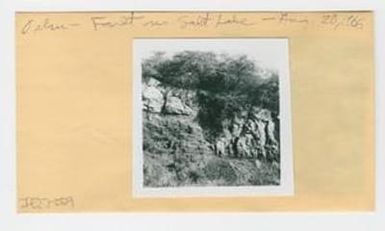 [Fault near Salt Lake in Hawaii, envelope IE27-259]