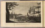 View in the island of Pines. Drawn from nature by W. Hodges. Engrav'd by W. Byrne. No. XXXI. Published Febry. 1st, 1777 by Wm. Strahan in New Street, Shoe Lane & Thos. Cadell in the Strand, London.