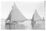 Gaff rigged sailboat in the Nuku'alofa harbour, day of the yacht regatta.