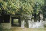 Federated States of Micronesia, abandoned WWII Japanese command post on Fefan Island in Chuuk State