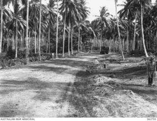 HELDSBACH PLANTATION, FINSCHHAFEN AREA, NEW GUINEA. 1943-12-24. PORTION OF THE NEW ROAD THROUGH THE PLANTATION, WHICH CONNECTS SCARLET BEACH AND SIMBANG
