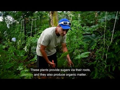 Tutorial on Agroforestry #2: Enhancing soil quality for sustainable agricultural production