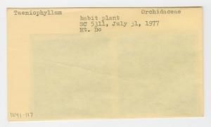 [Taeniophyllum in New Caledonia, envelope IE41-117]