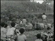 Life in Fiji--outtakes. 1929-11-21. Bananas.