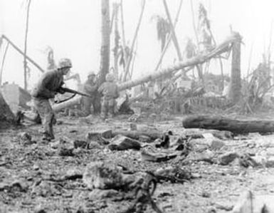 [Marines Sheltering Behind Trees on Namur Island]