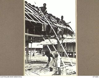 LAE, NEW GUINEA. 1944-03-25. NEW GUINEA NATIVES ROOFING A BUILDING WITH SAGO PALM THATCHING AT THE AUSTRALIAN NEW GUINEA ADMINISTRATIVE UNIT NATIVE COMPOUND