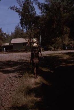 [Woman carrying bananas in Eastern Highlands, Papua New Guinea]