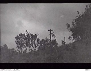 PORT MORESBY, NEW GUINEA. 1943-07-14. PORTION OF THE OPEN WIRE ROUTE THROUGH OPEN COUNTRY CONSTRUCTED BY SIGNALS NEW GUINEA LINES OF COMMUNICATION