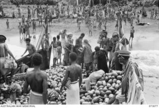 UKILIM, NEW GUINEA. 1944-05-12. NATIVES LOAD A BARGE WITH PRODUCE FROM NATIVE GARDENS. THE BARGE, CHARTERED FROM LAE BY THE AUSTRALIAN ARMY SERVICE CORPS, TRANSPORTS FRUIT AND VEGETABLES WEEKLY TO ..