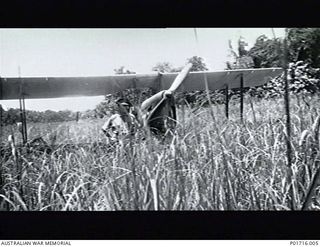 SOPUTA, NEW GUINEA. 1942-03-01. MAJOR HOBCROFT, WAR GRAVES COMMISSION, BESIDE THE TIGER MOTH AIRCRAFT FLOWN BY DAN THATCHER, NO.1 AIR SEA RESCUE SQUADRON, RAAF. IN LANDING IN THE LONG KUNAI GRASS, ..