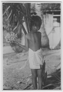 "Bock and Hessle Gilbertöarnaexpedition: 1 girl holding coral in one hand. Text on the back: “Little girl, who had received the tissue paper for the photograph, intended for the coral wrapping, attached to her hips.”: Included in series with photon. 6977: 1-15. "