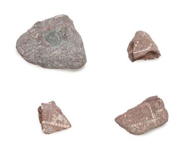 Lapita pottery sherds