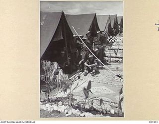 WEWAK POINT, NEW GUINEA. 1945-10-02. A SMARTNESS OF LINES COMPETITION WAS HELD AT 2/3 MACHINE-GUN BATTALION AND TROOPS WERE GIVEN A WEEK TO DECORATE THEIR LINES. THE COMPETITION WAS WON BY THIS 10 ..