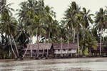 A riverbank village on the Sepik, near Angoram, [Papua New Guinea, 1969?]