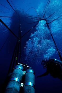 Underwater view of Navy divers working to raise the submarine ex-USS BLUEGILL (SS 242) during Pacific Submarine Salvage Exercise 83 (PACSUBSALVEX-83) off the coast of Maui