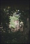 Children on the road out of the village, seen through a gap in the trees