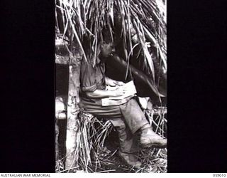 DUMPU, NEW GUINEA. 1943-10-15. NX101709 CORPORAL J. HILL OF THE 2/27TH AUSTRALIAN INFANTRY BATTALION WRITING HOME IN HIS GRASS HUT AT GUY'S POST, IN THE RAMU VALLEY