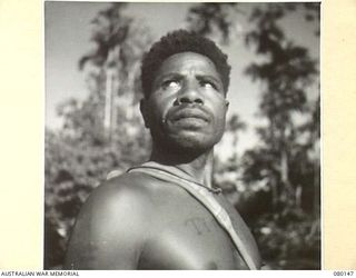 KAKAKOG, NEW GUINEA. 1944-06-27. A TYPICAL NATIVE LABOURER WORKING WITH THE AUSTRALIAN NEW GUINEA ADMINISTRATIVE UNIT