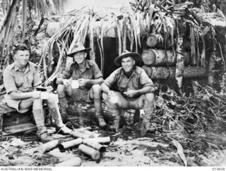 1942-11-23. NEW GUINEA. KOKODA. THIS LOG STRUCTURE WAS BUILT BY THE JAPANESE AS PROTECTION FOR A MOUNTAIN GUN. THE GUN POSITION WAS CAPTURED AT BAYONET POINT. (NEGATIVE BY G. SILK)