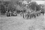 Pig festival, uprooting cordyline ritual, Tsembaga: men make stylized aggressive charge in front of government rest house, near clan boundary