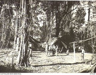 MALMAL MISSION, NEW BRITAIN. 1944-12-22. A SECTION OF THE HEAVY JUNGLE GROWTH SURROUNDING THE MISSION WHERE THE 231ST LIGHT AID DETACHMENT ATTACHED 5TH DIVISION ESTABLISHED THEIR CAMP. IDENTIFIED ..