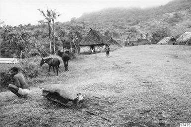 horse, house, forest, human, photograph, ph