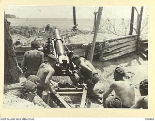 BOUGAINVILLE ISLAND, 1945-01-21. THE CREW OF A 25 POUNDER GUN OF THE 2ND FIELD REGIMENT AT ACTION STATIONS IN THE GUN POSITION ON THE BEACH. IDENTIFIED PERSONNEL ARE:- VX143903 GUNNER J. ARBUCKLE ..