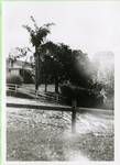 View of Alden family home 'Merleton', Rosebery Terrace, Chelmer, Brisbane