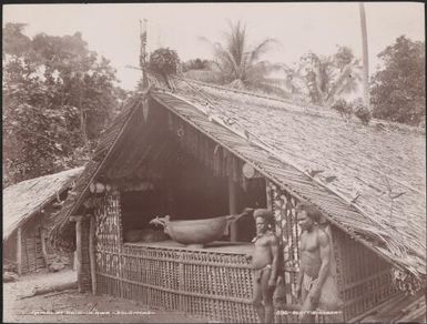 Two men standing outside a gamal at Ahia, Ulawa, Solomon Islands, 1906 / J.W. Beattie
