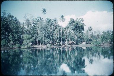 Gomwa village, near Salamo : Fergusson Island, D'Entrecasteaux Islands, Papua New Guinea, 1956 / Terence and Margaret Spencer