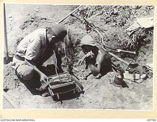 NAMANULA, NEW BRITAIN, 1945-10-08. JAPANESE SIGNALMEN WORKING ON AN UNDERGROUND CABLE BY THE EDGE OF THE ROAD