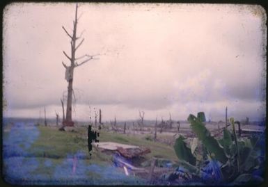 Looking over the hospital ruins at Higataru, Papua New Guinea, 1951 / Albert Speer